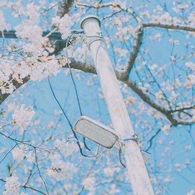 妖姬决九游版下载